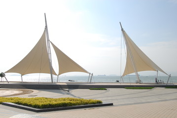 如果狗狗死去。要怎么处理。