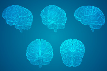 如果狗狗死去。要怎么处理。