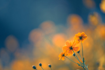 门窗防盗报警器价格是多少