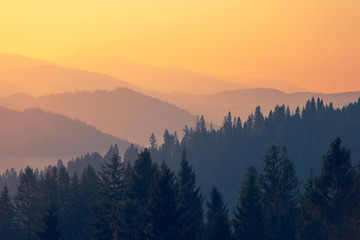 福临门三江宴米5公斤代号