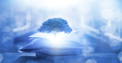 如果狗狗死去。要怎么处理。