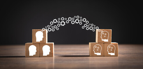 中国十大专家排名