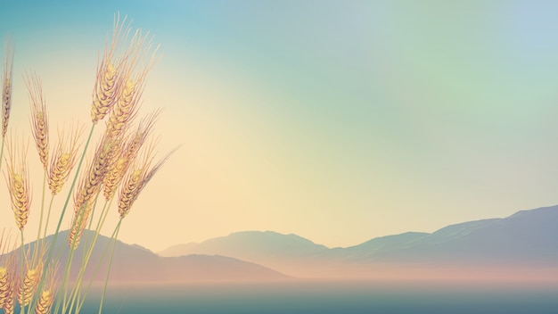 福临门三江宴米5公斤代号