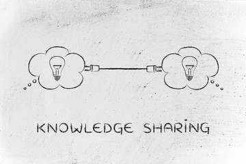 门窗防盗报警器价格是多少